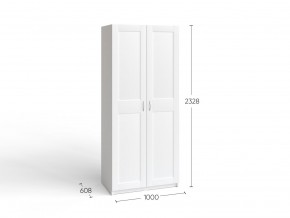 2.06.01.050.4 МАКС шкаф 2 двери 100х61х233 серый RU в Лесном - lesnoy.ok-mebel.com | фото 4