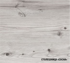 АСАЯ Кухонный гарнитур Экстра 2 (3000 мм) ПМ в Лесном - lesnoy.ok-mebel.com | фото 8
