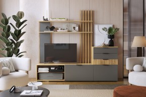 БЕРИ К3 Гостиная в Лесном - lesnoy.ok-mebel.com | фото 2