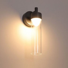 Бра Favourite Outdoor 4703-1W в Лесном - lesnoy.ok-mebel.com | фото 4