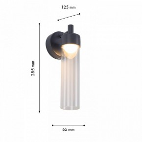 Бра Favourite Outdoor 4703-1W в Лесном - lesnoy.ok-mebel.com | фото 6