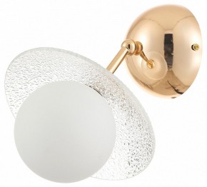 Бра Rivoli Jacqueline Б0066444 в Лесном - lesnoy.ok-mebel.com | фото