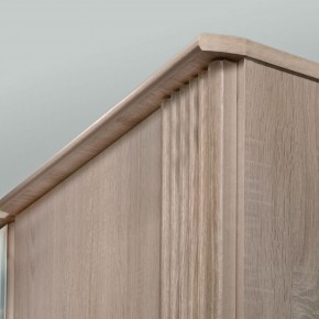 ДИАНА Д11А Шкаф для одежды в Лесном - lesnoy.ok-mebel.com | фото 5