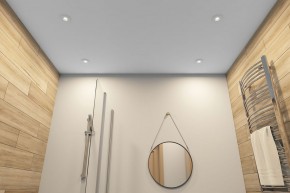 DK2036-WH Встраиваемый светильник влагозащ., IP 44, до 15 Вт, GU10, LED, белый, алюминий в Лесном - lesnoy.ok-mebel.com | фото 5