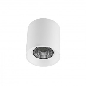DK3090-WH+CH Светильник накладной IP 20, 10 Вт, GU5.3, LED, белый/хром, пластик в Лесном - lesnoy.ok-mebel.com | фото