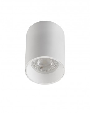 DK3110-WH Светильник накладной IP 20, 10 Вт, GU5.3, LED, белый, пластик в Лесном - lesnoy.ok-mebel.com | фото 1