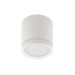 DK4016-WH Светильник накладной IP 20, 5 Вт, LED 3000, белый, алюминий/акрил в Лесном - lesnoy.ok-mebel.com | фото 2