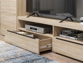 ЭКОЛЬ Гостиная Вариант №3 МДФ (Дуб сонома) в Лесном - lesnoy.ok-mebel.com | фото 2