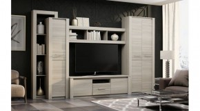 ЭЛИС Гостиная в Лесном - lesnoy.ok-mebel.com | фото 2