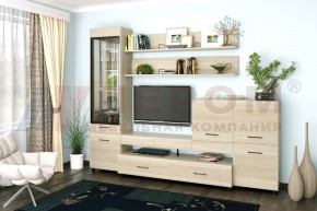 Гостиная Камелия Композиция 5 (Ясень Асахи) в Лесном - lesnoy.ok-mebel.com | фото 1