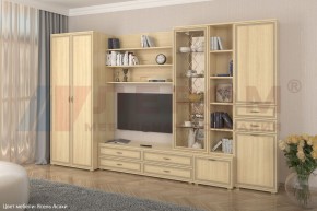 Гостиная Карина Композиция 11 (Ясень Асахи) в Лесном - lesnoy.ok-mebel.com | фото