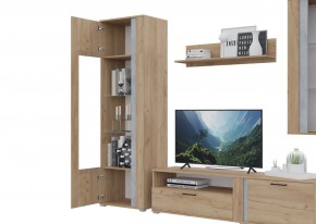 Гостиная Омега (Крафт золотой-Бетон) в Лесном - lesnoy.ok-mebel.com | фото 5