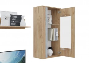 Гостиная Омега (Крафт золотой-Бетон) в Лесном - lesnoy.ok-mebel.com | фото 6