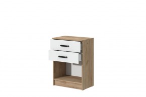 Комод Эконом (Дуб крафт золотой/Белый текстурный) в Лесном - lesnoy.ok-mebel.com | фото 2
