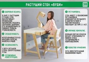 Комплект растущий стол и стул с чехлом 38 попугаев «Вуди» (Серый, Береза, Мечта) в Лесном - lesnoy.ok-mebel.com | фото