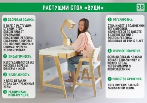 Комплект растущий стол и стул с чехлом 38 попугаев «Вуди» (Серый, Береза, Салют) в Лесном - lesnoy.ok-mebel.com | фото