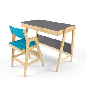 Комплект растущий стол и стул с чехлом 38 попугаев «Вуди» (Серый, Без покрытия, Лазурь) в Лесном - lesnoy.ok-mebel.com | фото