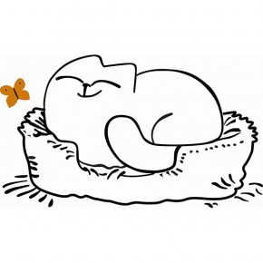 Кровать двухуровневая Кот № 900.1 ПРАВАЯ (туя светлая/белый) в Лесном - lesnoy.ok-mebel.com | фото 2