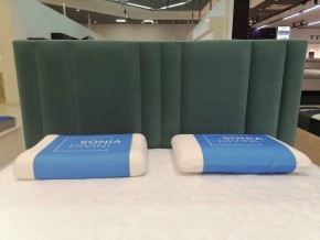 Кровать Верона Решетка+ПМ+Дно (1600) в Лесном - lesnoy.ok-mebel.com | фото 6
