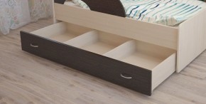 Кровать выкатная Радуга (Матрешка) 800*1600/1650 в Лесном - lesnoy.ok-mebel.com | фото 9