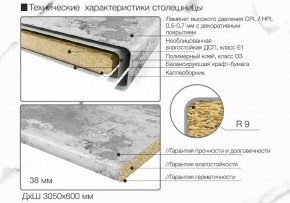 Кухонный фартук со столешницей (А-01) в едином стиле (3050 мм) в Лесном - lesnoy.ok-mebel.com | фото 6