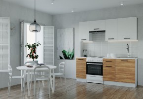 Кухонный гарнитур Лада 2000 (Стол. 38мм) в Лесном - lesnoy.ok-mebel.com | фото