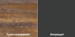 Кухонный гарнитур угловой Трансильвания 2600х1600 мм (Стол. 38 мм) в Лесном - lesnoy.ok-mebel.com | фото 3