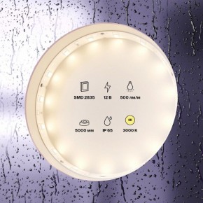 Лента светодиодная Maytoni Led strip 10105 в Лесном - lesnoy.ok-mebel.com | фото 2
