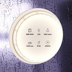Лента светодиодная Maytoni Led strip 10118 в Лесном - lesnoy.ok-mebel.com | фото 2