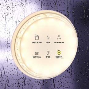 Лента светодиодная Maytoni Led strip 10131 в Лесном - lesnoy.ok-mebel.com | фото 2