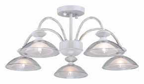 Люстра на штанге Arti Lampadari Noventa Noventa E 1.1.5 W в Лесном - lesnoy.ok-mebel.com | фото
