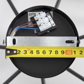 Люстра на штанге Citilux Стивен CL141271 в Лесном - lesnoy.ok-mebel.com | фото 13