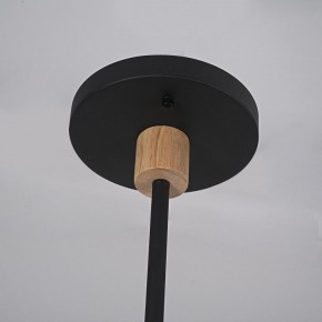 Люстра на штанге Imperiumloft TURNA Black TURNA-DBL01 в Лесном - lesnoy.ok-mebel.com | фото 9