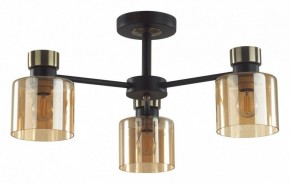 Люстра на штанге Lumion ARLIN 5643/3C в Лесном - lesnoy.ok-mebel.com | фото