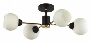Люстра на штанге Lumion KODI 5646/4C в Лесном - lesnoy.ok-mebel.com | фото