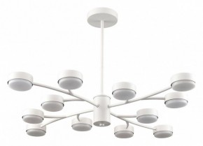 Люстра на штанге Lumion TORINA 8265/12 в Лесном - lesnoy.ok-mebel.com | фото
