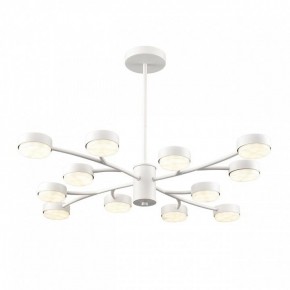 Люстра на штанге Lumion TORINA 8265/12 в Лесном - lesnoy.ok-mebel.com | фото 2