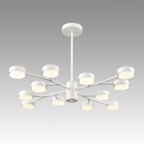 Люстра на штанге Lumion TORINA 8265/12 в Лесном - lesnoy.ok-mebel.com | фото 3