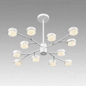 Люстра на штанге Lumion TORINA 8265/12 в Лесном - lesnoy.ok-mebel.com | фото 5