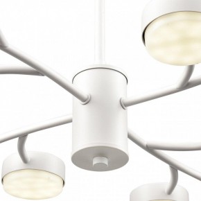 Люстра на штанге Lumion TORINA 8265/12 в Лесном - lesnoy.ok-mebel.com | фото 8