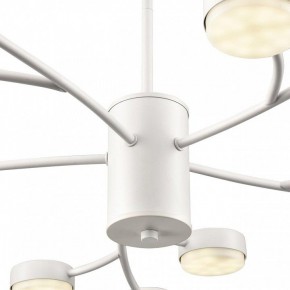 Люстра на штанге Lumion TORINA 8265/15 в Лесном - lesnoy.ok-mebel.com | фото 8