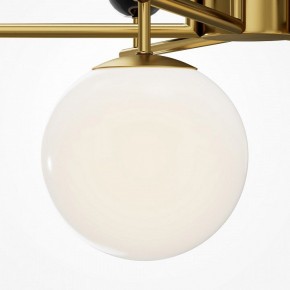 Люстра на штанге Maytoni Museo MOD436PL-07BS в Лесном - lesnoy.ok-mebel.com | фото 4
