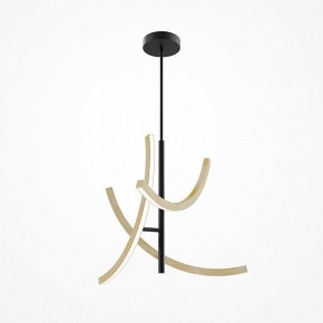 Люстра на штанге Maytoni Wabi MOD428PL-L27BK в Лесном - lesnoy.ok-mebel.com | фото 5