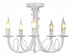 Люстра на штанге Vitaluce V3035 V3035-0/5PL в Лесном - lesnoy.ok-mebel.com | фото 2