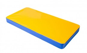 Мат гимнастический 1х0,5х0,08м цв. синий-желтый в Лесном - lesnoy.ok-mebel.com | фото