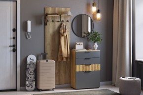 МЕБЕЛЬСОН К3 Прихожая в Лесном - lesnoy.ok-mebel.com | фото 2