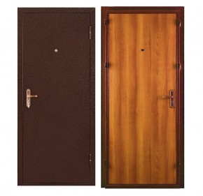 Металлическая дверь СПЕЦ ПРО (МЕТАЛЛ-ПАНЕЛЬ) 2060*860/ЛЕВАЯ в Лесном - lesnoy.ok-mebel.com | фото