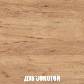 МСП-1 Шкаф 2-х створчатый (Дуб Золотой/Камень темный) в Лесном - lesnoy.ok-mebel.com | фото 4