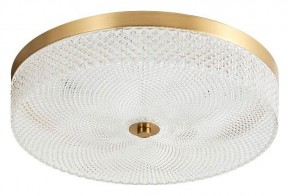 Накладной светильник Arti Lampadari Viro Viro L 1.13.35x9 G в Лесном - lesnoy.ok-mebel.com | фото