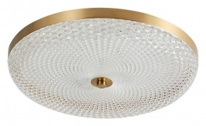 Накладной светильник Arti Lampadari Viro Viro L 1.13.45x8 G в Лесном - lesnoy.ok-mebel.com | фото